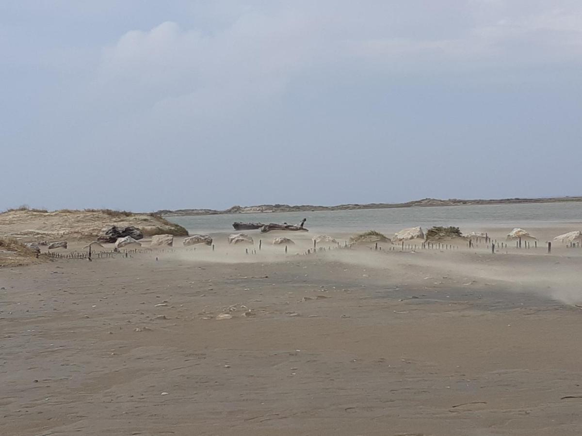 L'Effet Mer Arles Dış mekan fotoğraf